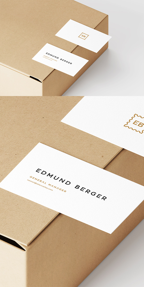 Business Cards On Box